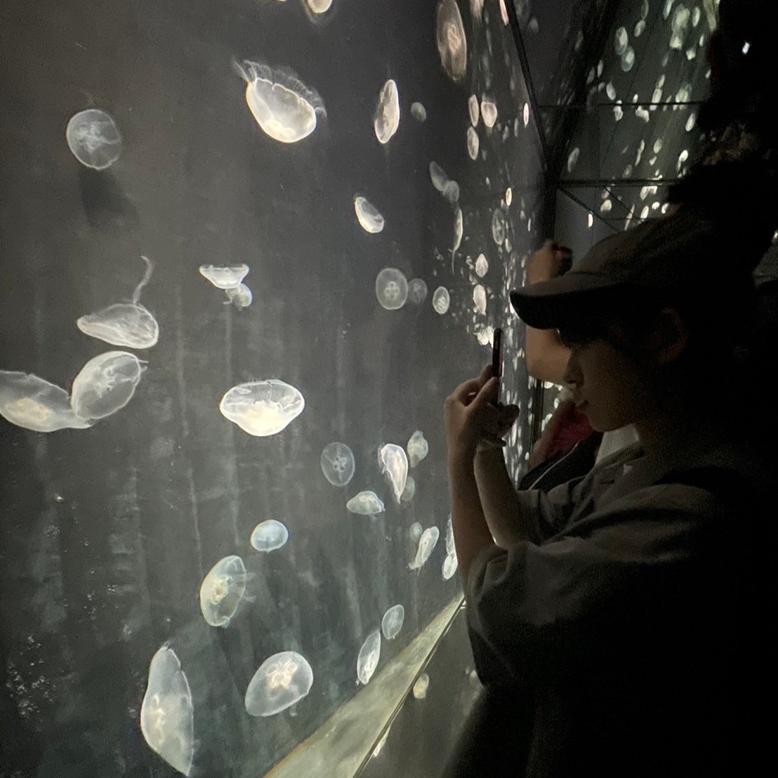 海遊館