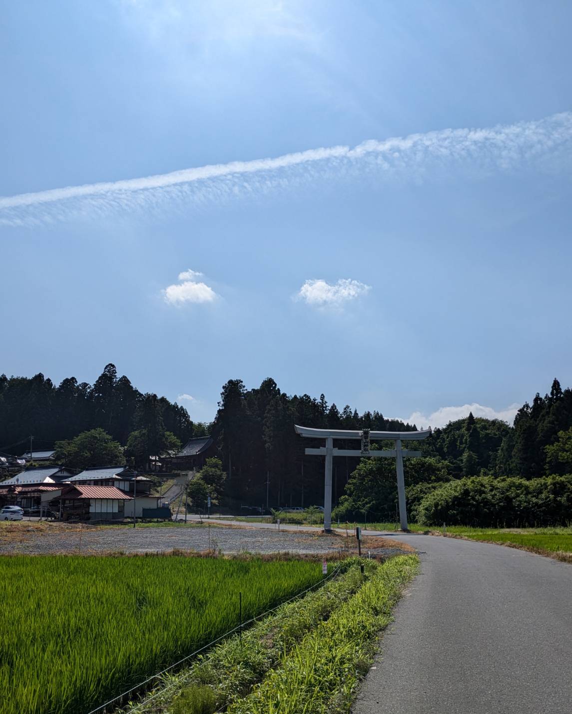 画像15