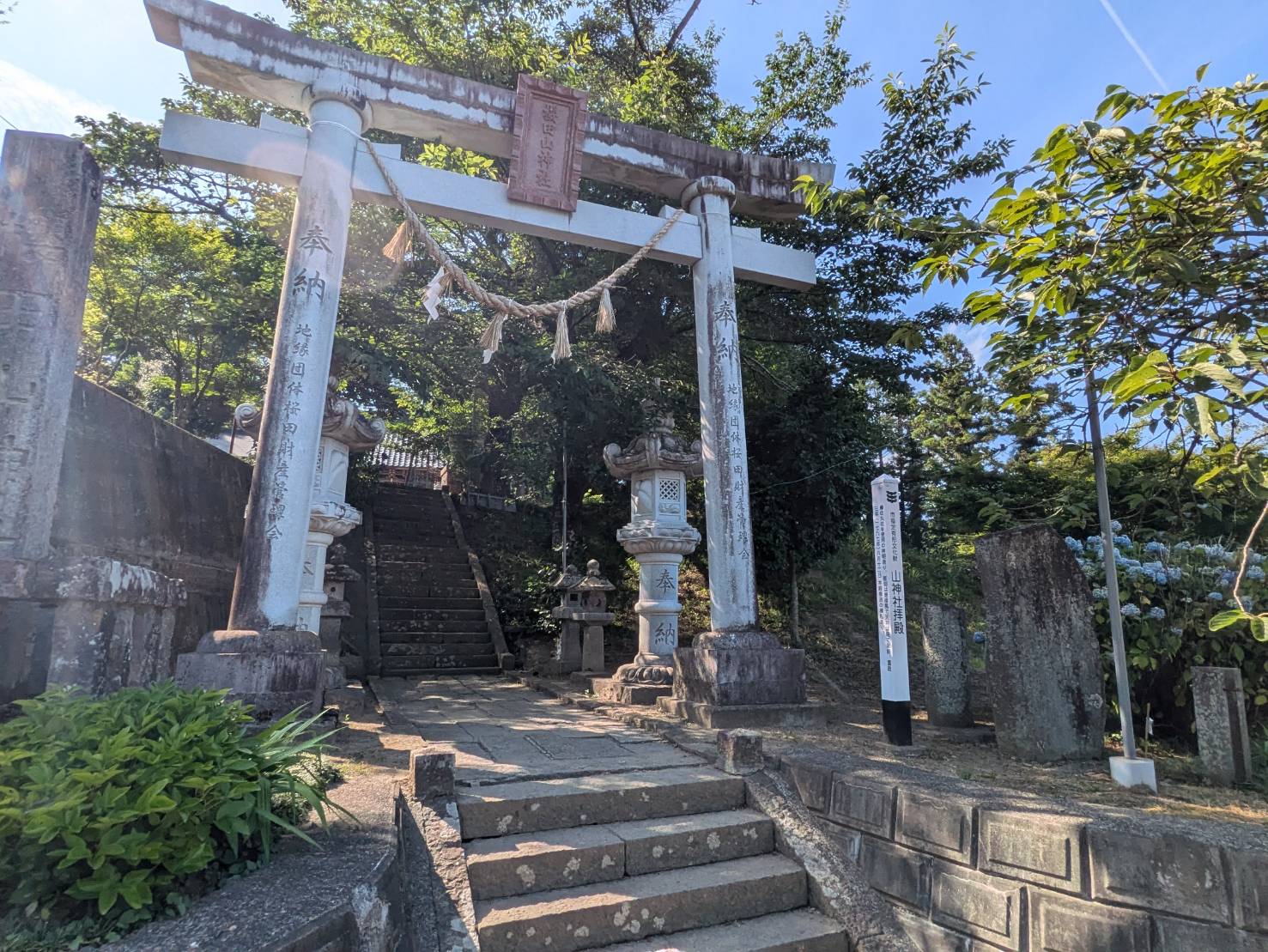 画像16
