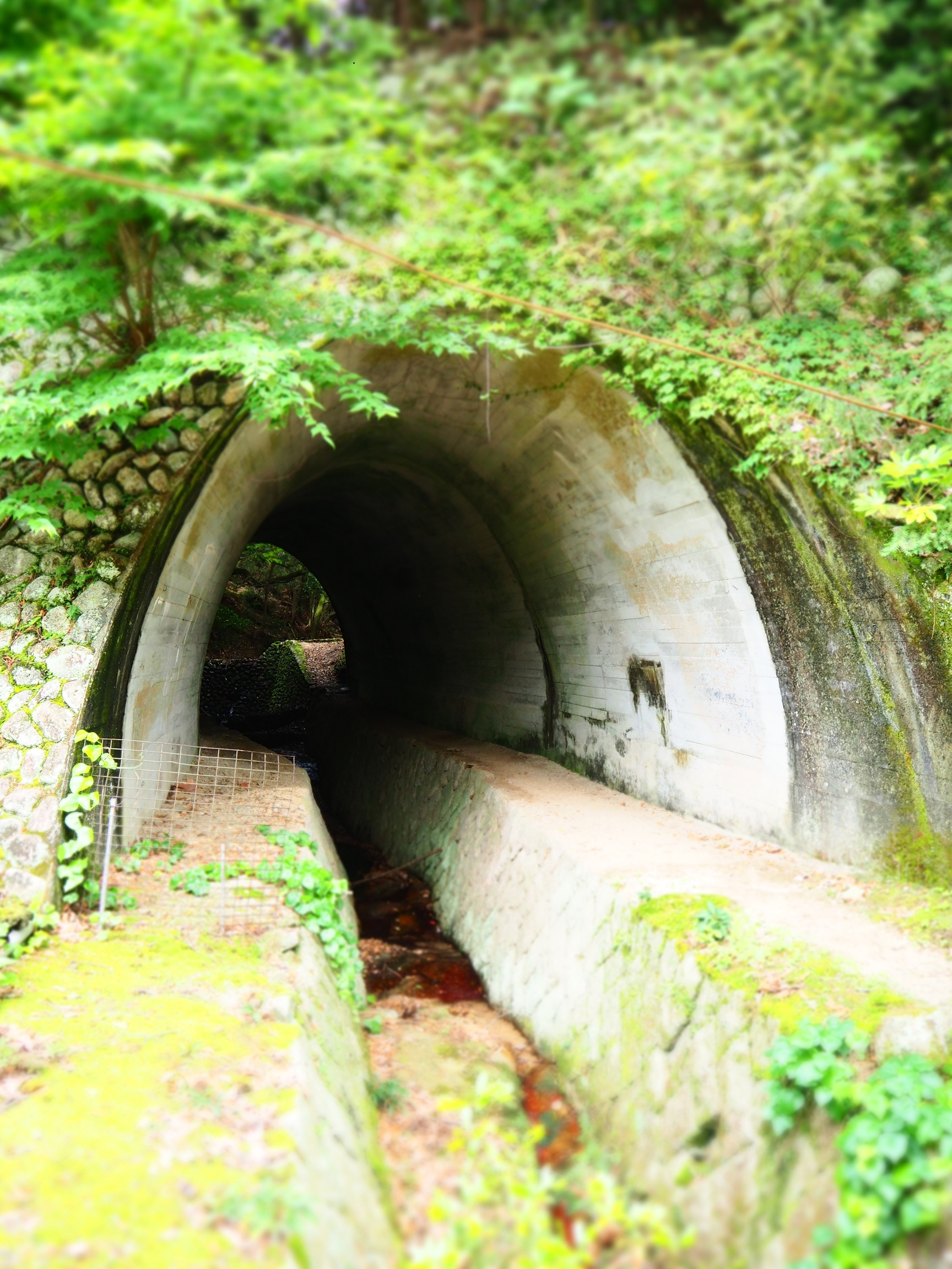 ギャラリー写真1