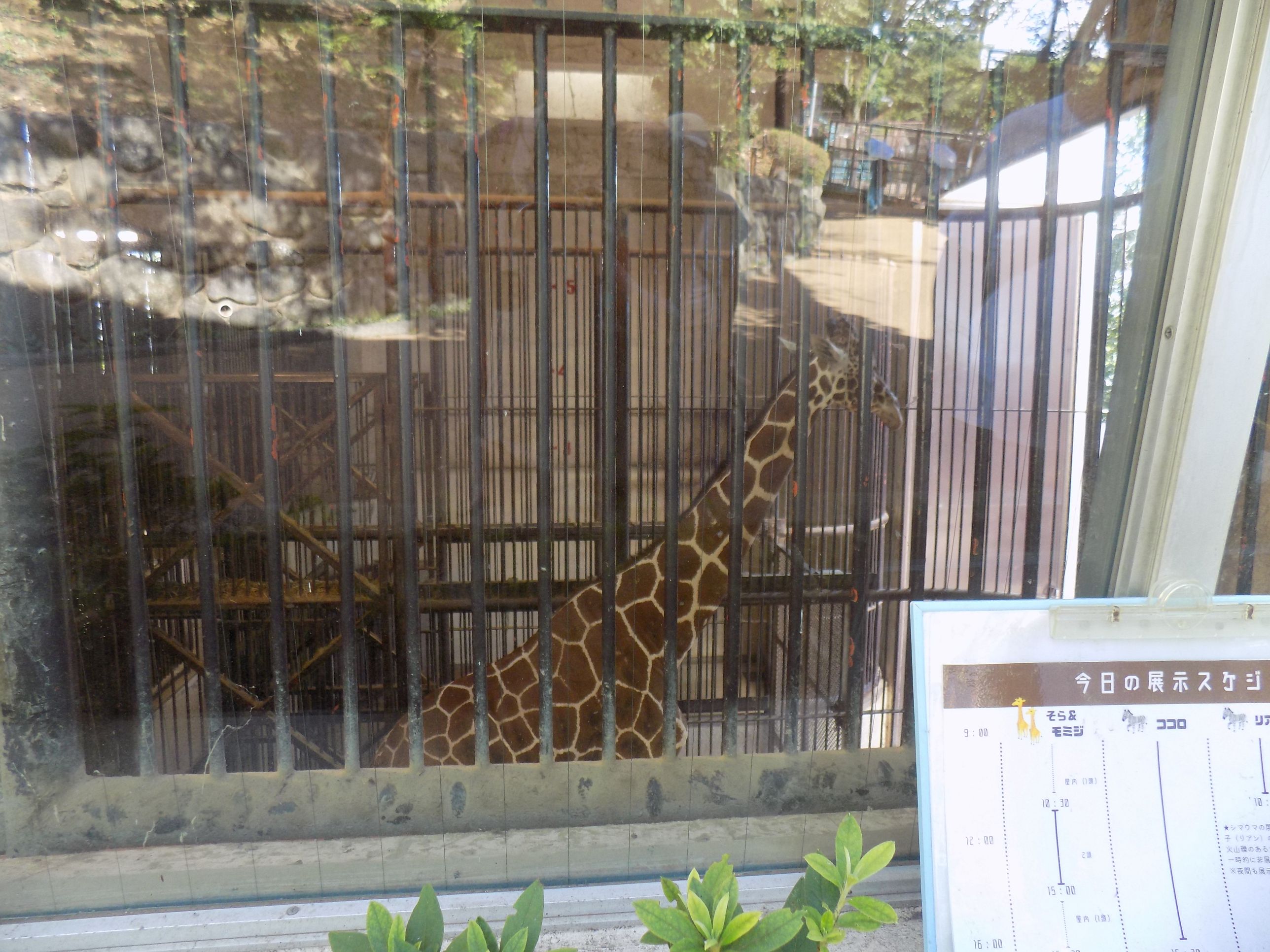 zoo2