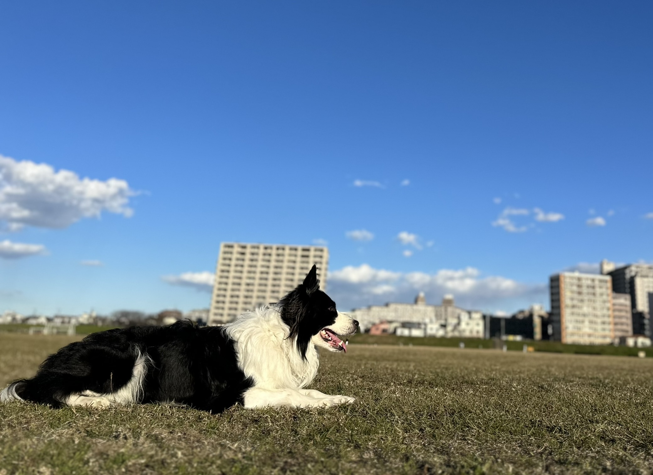 Sebastianの写真