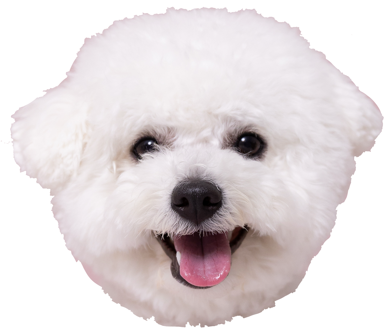 パンちゃんのロゴ
