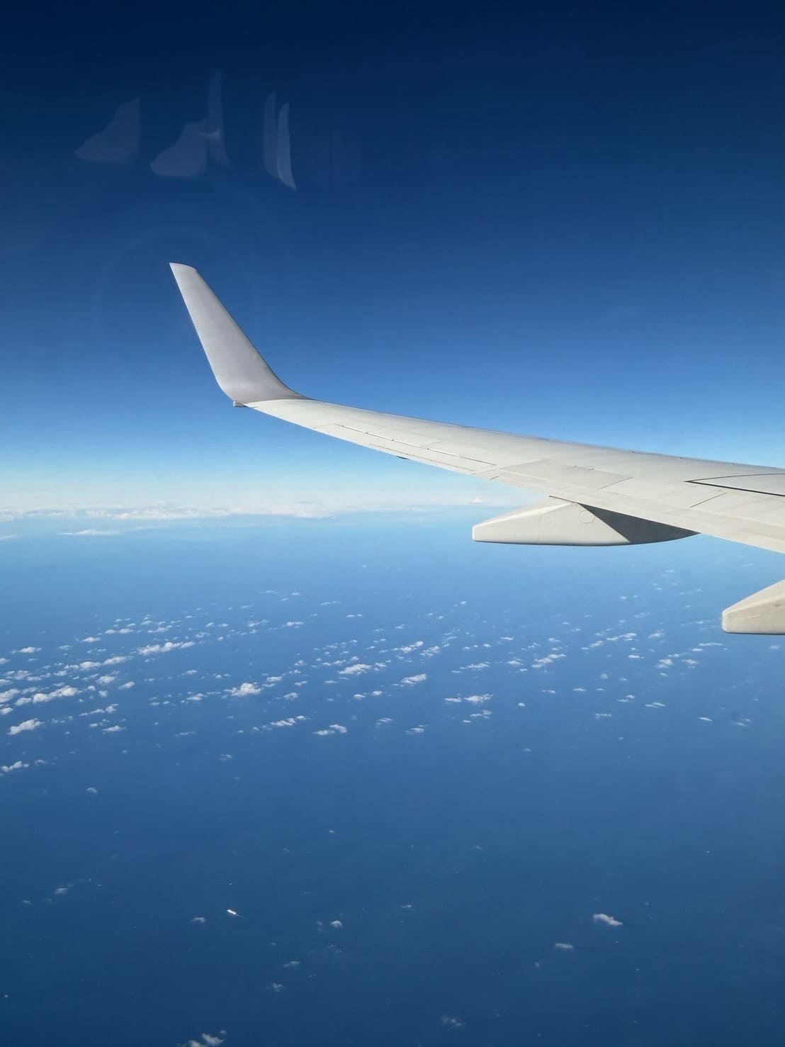 飛行機