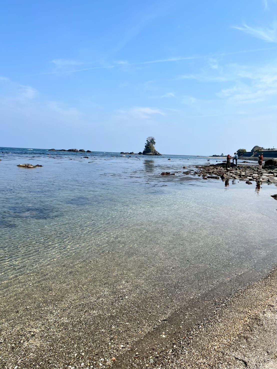 海