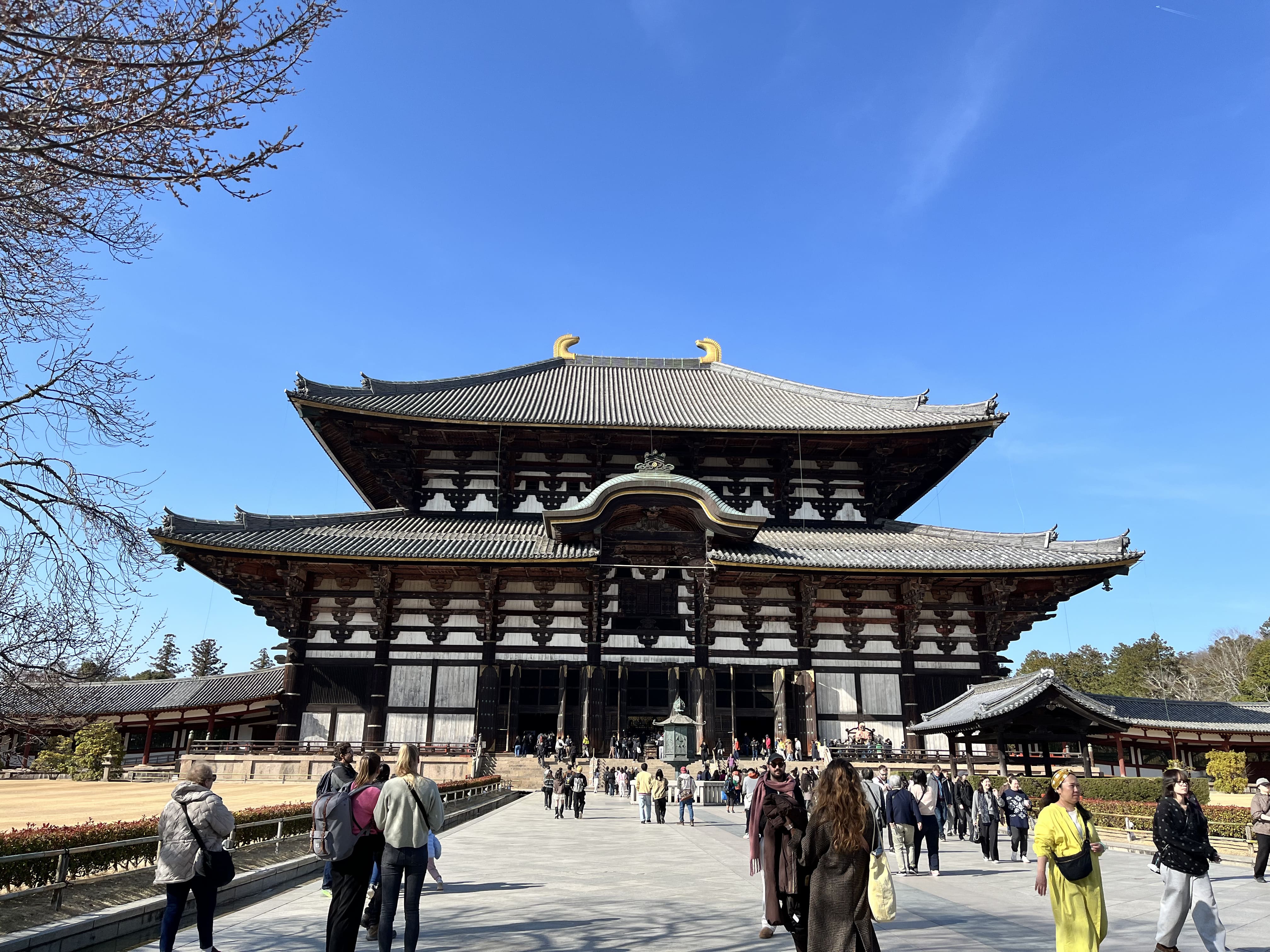 東大寺