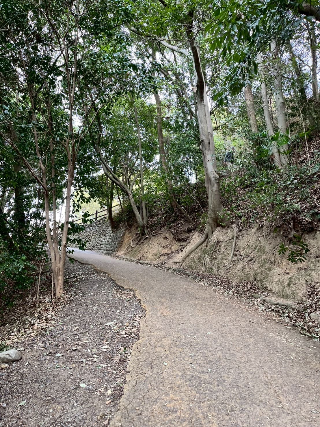 山道